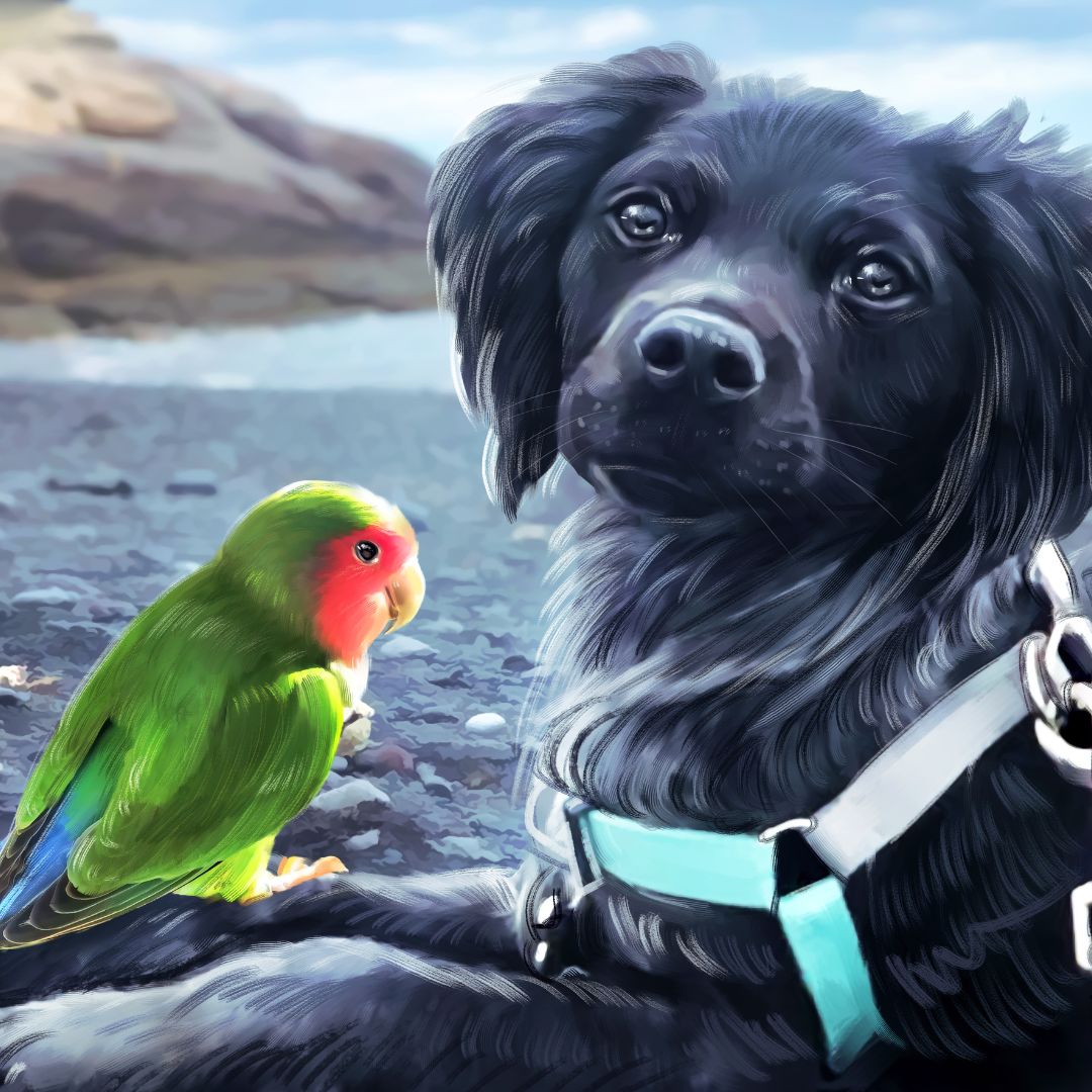Un retrato de un agaporni con un perro de pelaje negro, el fondo parece ser una playa. un retrato muy bonito